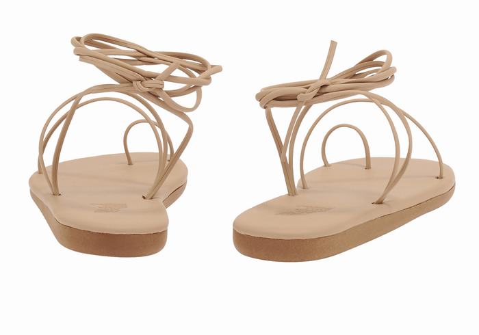 Sandales Toe-Post Ancient Greek Sandals Du   | MTH-1039962